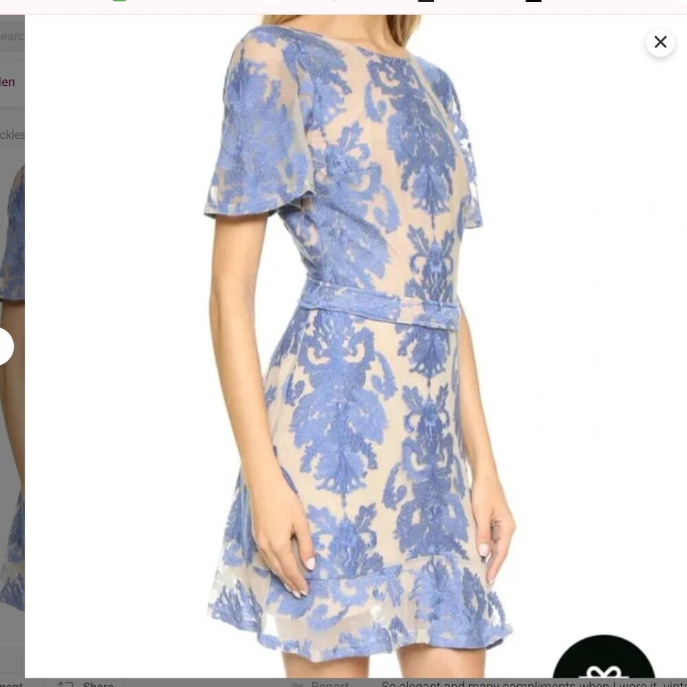 Nude and Blue San Marcos Illusion Floating Floral Embroidery Mini Dress